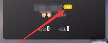 大众点评如何升级到lv8