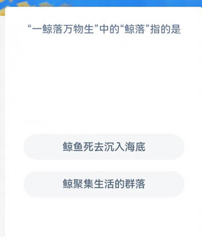 支付宝神奇海洋12.11日正确答案一览